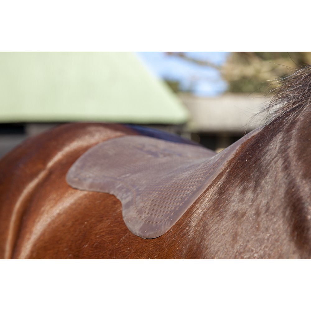 LeMieux Shaped Gel Pad - Brown