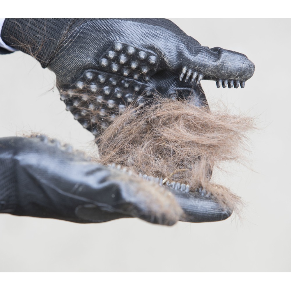 LeMieux Hands On Glove- Black