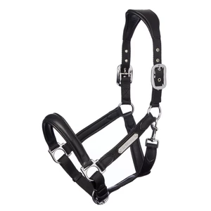 LeMieux Capella Headcollar  - Black in Black