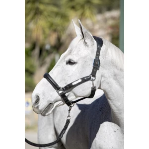 LeMieux Capella Headcollar  - Black in Black