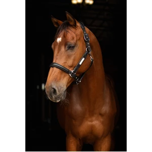 LeMieux Capella Headcollar  - Black in Black