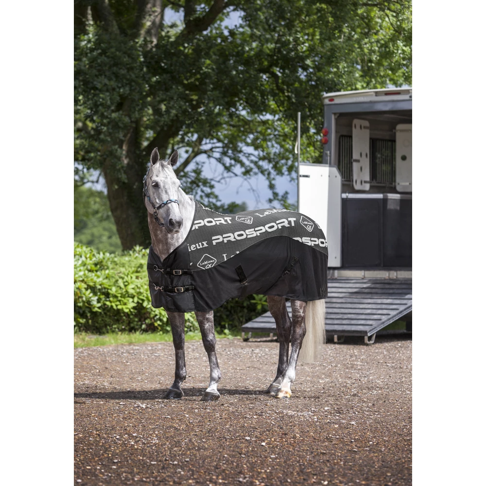 LeMieux Carbon Cooler Rug  - Black in Black