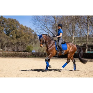 LeMieux Suede Dressage Square  - Benetton Blue in Benetton Blue