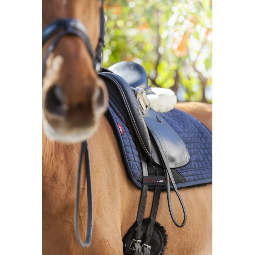 LeMieux Sensitive Dressage Square  - Navy in Navy