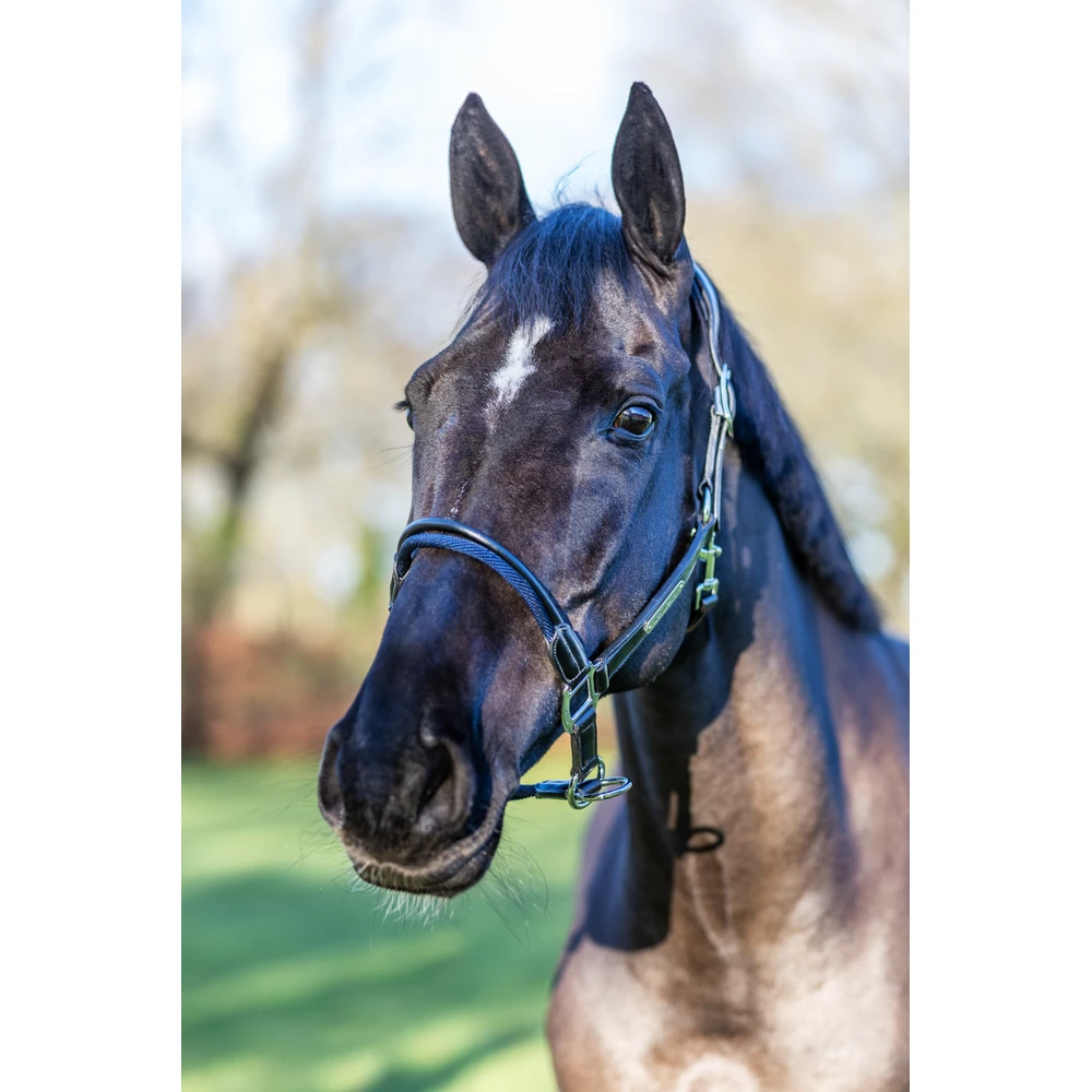 LeMieux Rope Control Headcollar  - Brown in Brown