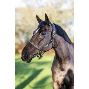 LeMieux Rope Control Headcollar  - Brown 