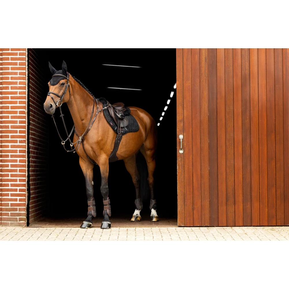 LeMieux Crystal Fly Hood  - Black in Black