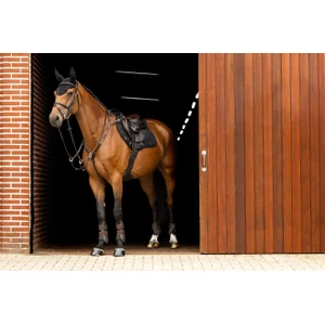 LeMieux Crystal Fly Hood  - Black in Black