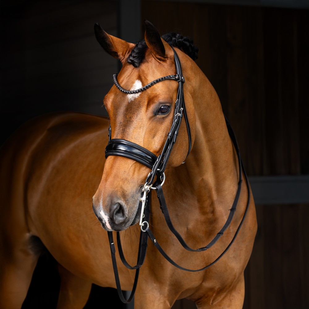 LeMieux Kudos Double Bridle - Black