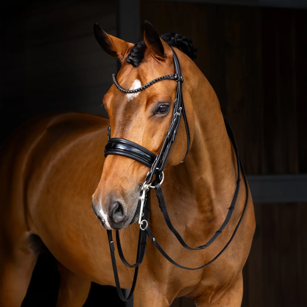 LeMieux Kudos Double Bridle  - Black in Black