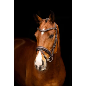 LeMieux Arika Dressage Bridle  - Brown/Silver in Brown/Silver