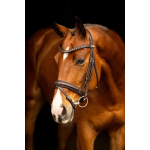 LeMieux Arika Dressage Bridle  - Brown/Silver in Brown/Silver