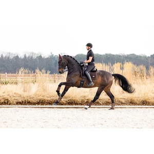 LeMieux Puissance Suede Dressage Square  - Brown 
