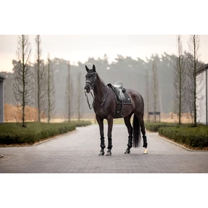 LeMieux Puissance Suede Dressage Square  - Black 