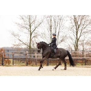 LeMieux Crystal Suede Dressage Square  - Brown in Brown