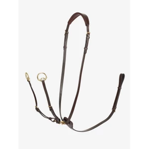 LeMieux Kudos Running Martingale  - Havana/Brass in Havana/Brass