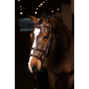 LeMieux Kudos Double Noseband Bridle  - Havana/Brass 