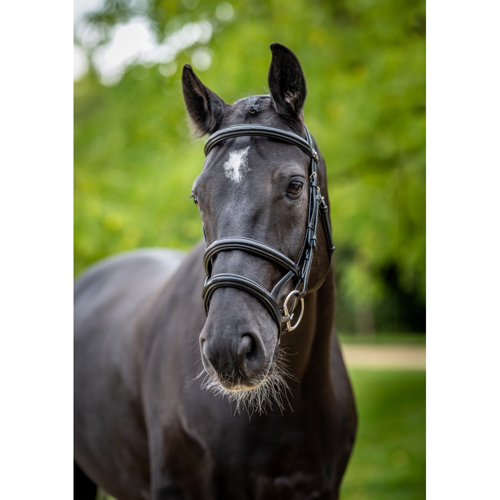 LeMieux Kudos Double Noseband Bridle - Black/Silver
