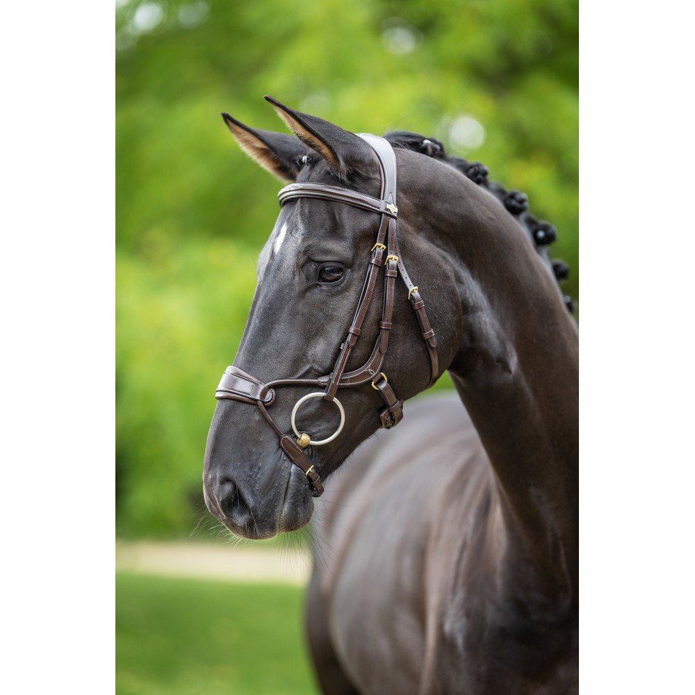 LeMieux Kudos Clear Arc Bridle - Havana/Brass