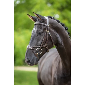 LeMieux Kudos Clear Arc Bridle  - Havana/Brass 