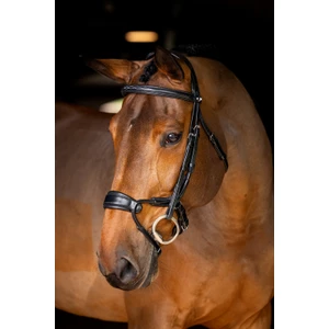 LeMieux Kudos Clear Arc Bridle  - Black/Silver 