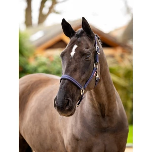 LeMieux Essential Yard Headcollar  - Navy 