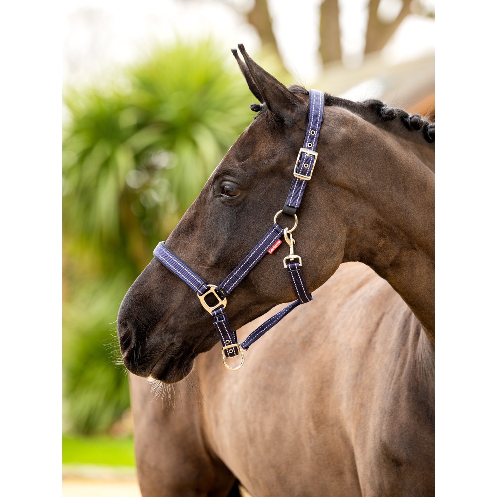 LeMieux Essential Yard Headcollar - Navy