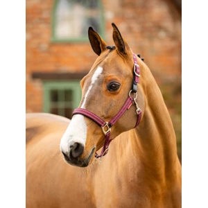 LeMieux Essential Yard Headcollar  - Burgundy 