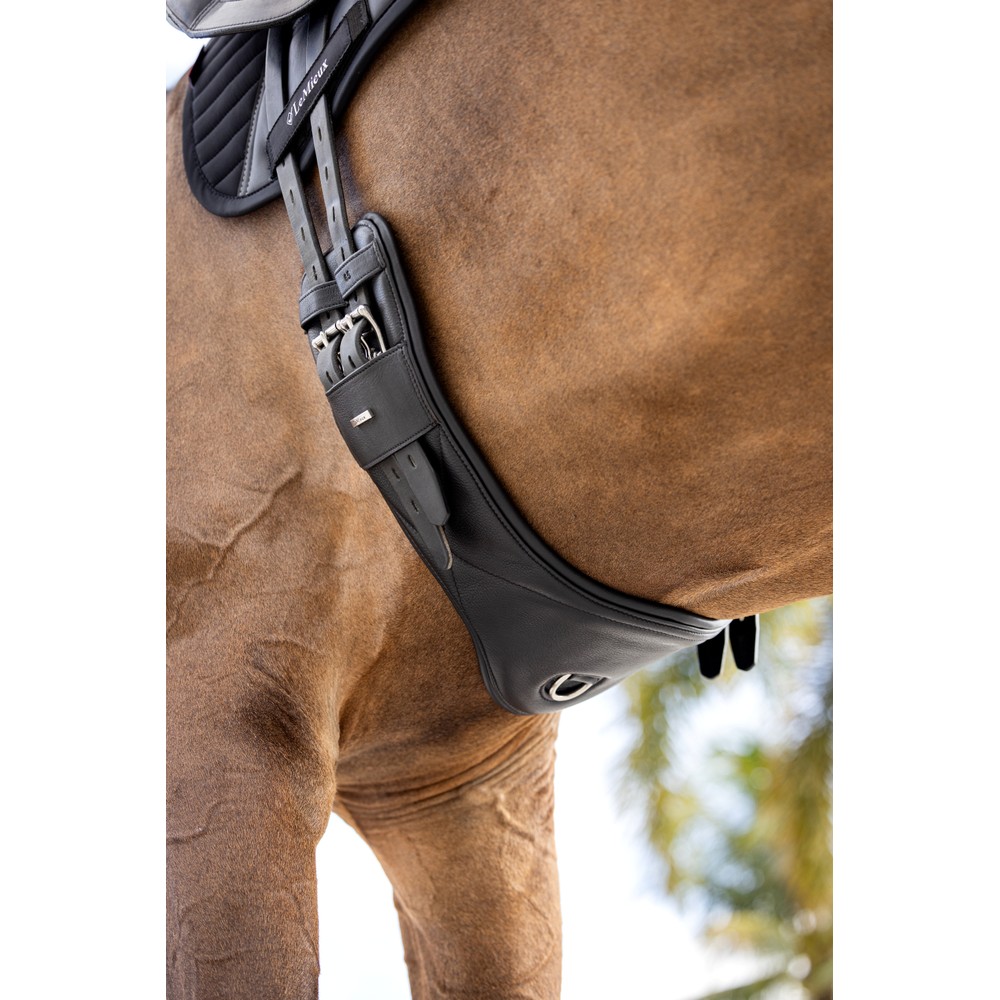 LeMieux Arika Contoured Dressage Girth - Black