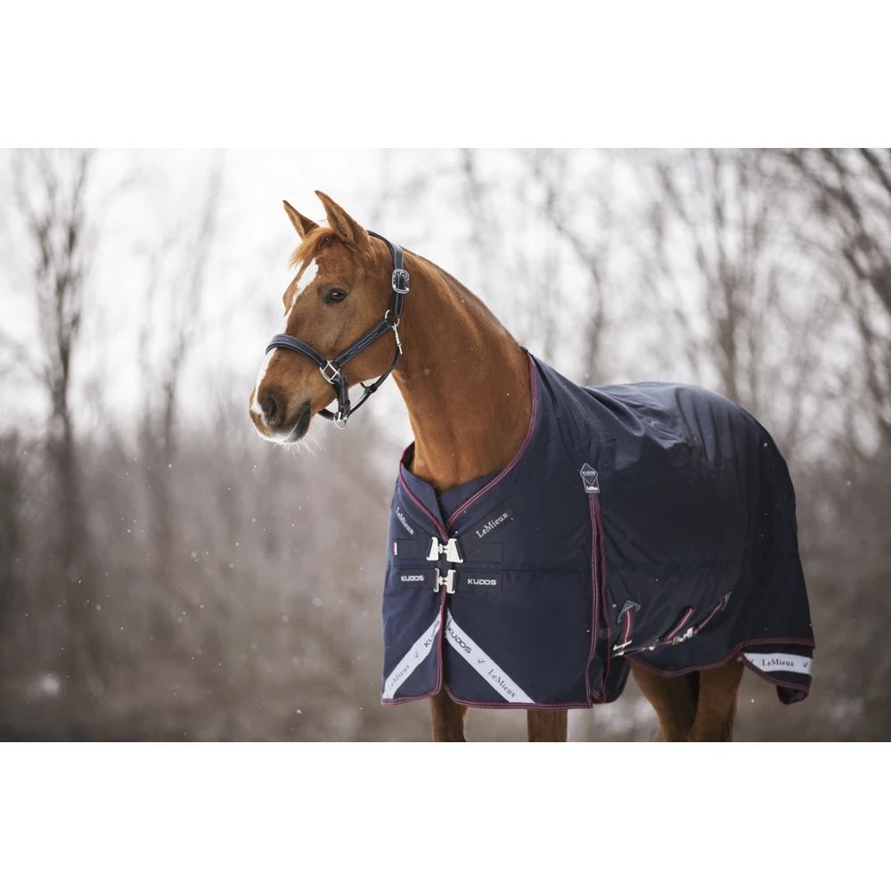 LeMieux Kudos Turnout Rug 100g  - Navy in Navy