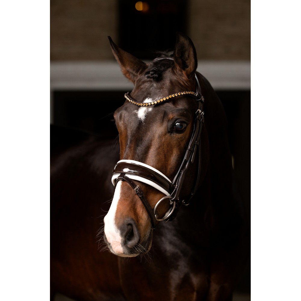 LeMieux Kudos Patent Dressage Bridle - Brown/White