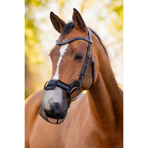 LeMieux Comfort Shield Drop Nose Filter 2pk  - Black 