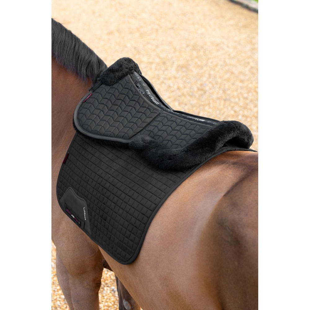 LeMieux Merino+ ProSorb 2 Pocket Half Pad / - Black