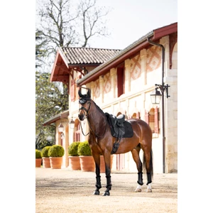 LeMieux Merino+ Half Lined Suede Dressage Square  / - Black 