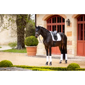 LeMieux Merino+ Half Lined Suede Dressage Square  / - White 