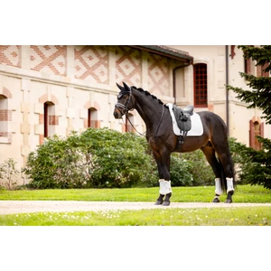 LeMieux Merino+ Half Lined Dressage Square  / - White 