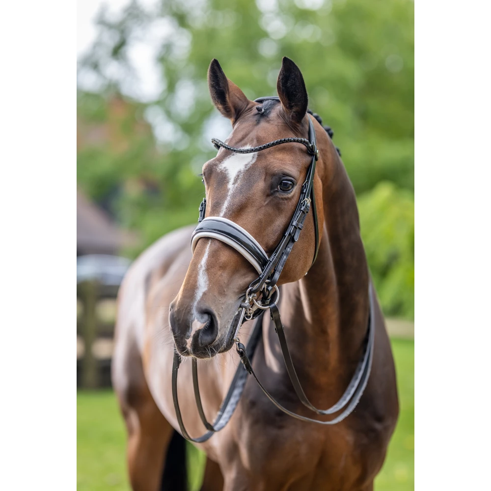 LeMieux Kudos Double Bridle  - Black/White in Black/White