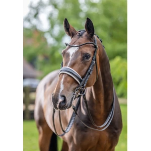 LeMieux Kudos Double Bridle  - Black/White in Black/White