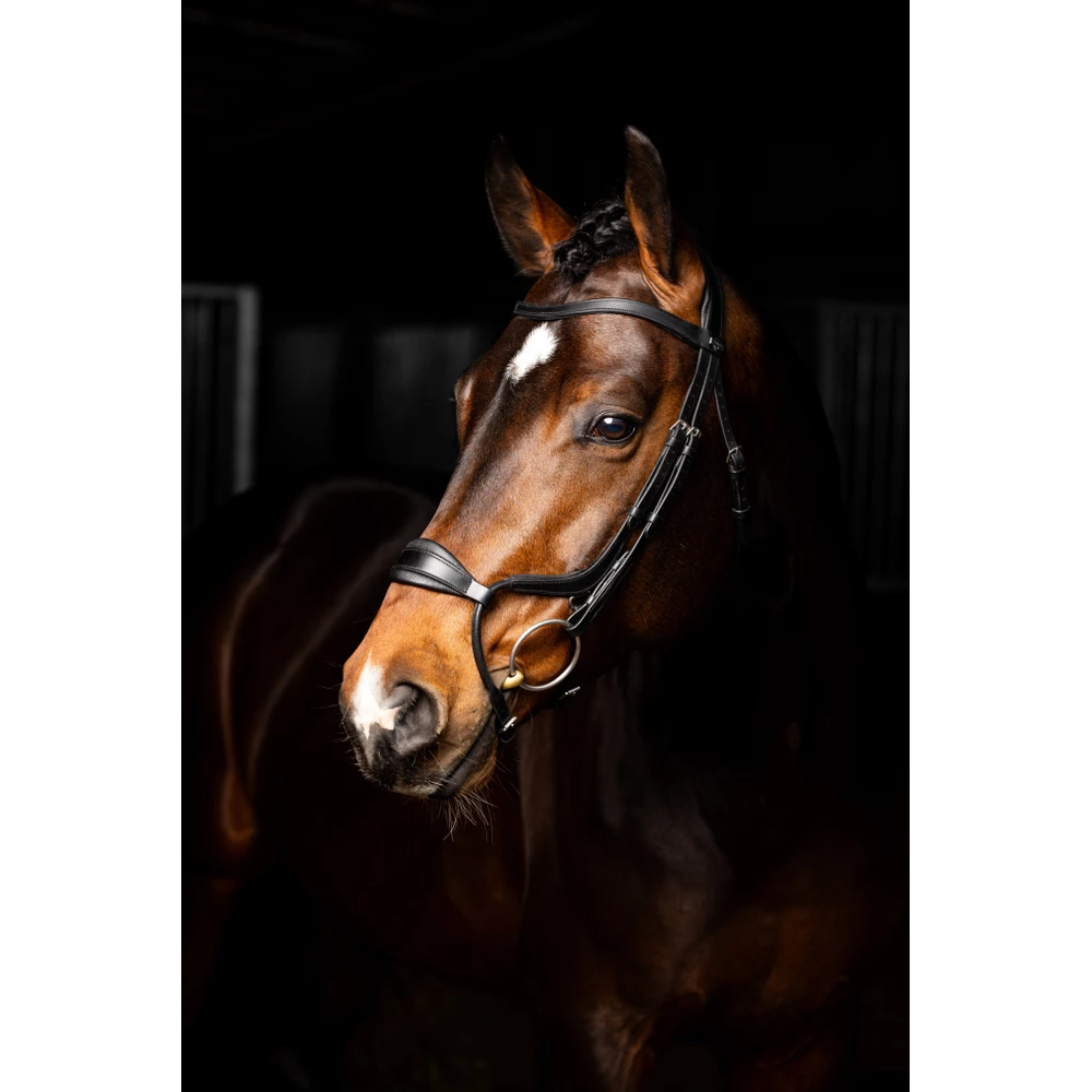 LeMieux Arika Adjustable Anatomic Noseband Bridle  - Black/Silver in Black/Silver