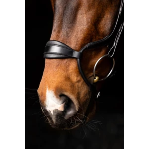LeMieux Arika Adjustable Anatomic Noseband Bridle  - Black/Silver 