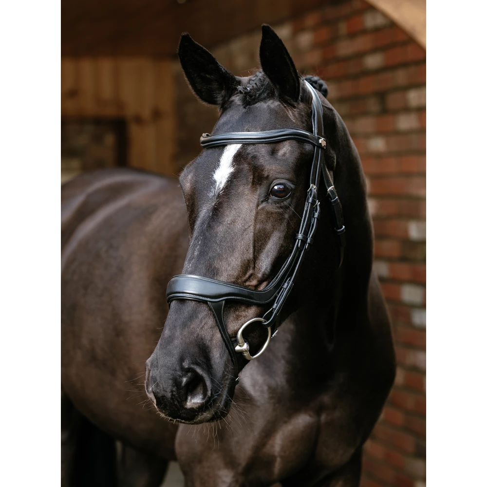 LeMieux Arika Split Noseband Bridle  - Black in Black