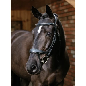 LeMieux Arika Split Noseband Bridle  - Black in Black
