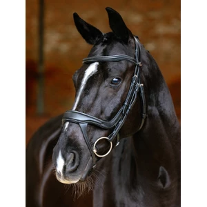 LeMieux Arika Split Noseband Bridle  - Black 
