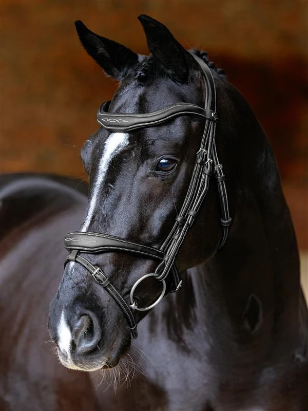 LeMieux Kudos Contour Flash Bridle  - Black in Black