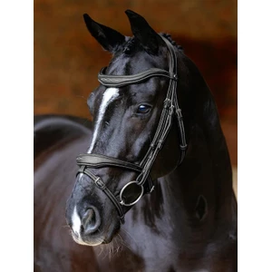 LeMieux Kudos Contour Flash Bridle  - Black in Black