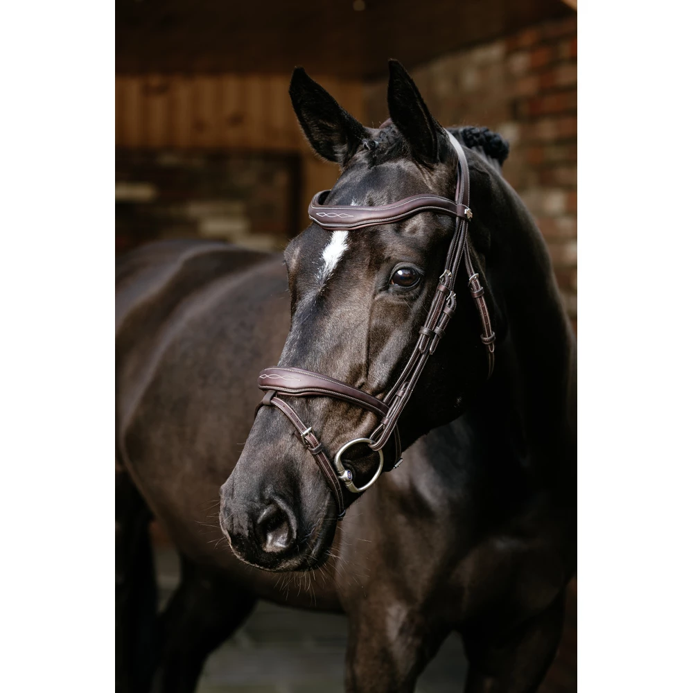 LeMieux Kudos Contour Flash Bridle   - Brown in Brown