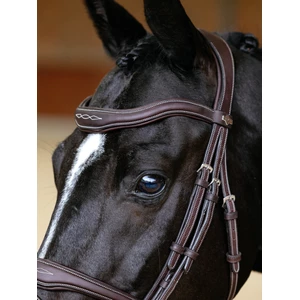 LeMieux Kudos Contour Flash Bridle   - Brown in Brown