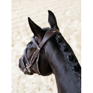 LeMieux Kudos Contour Flash Bridle   - Brown in Brown