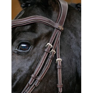 LeMieux Kudos Contour Flash Bridle   - Brown in Brown