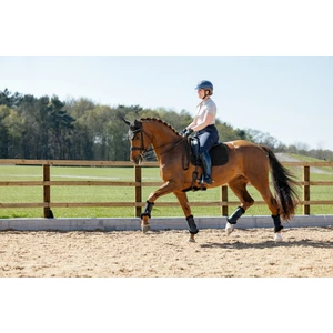 LeMieux 3D Mesh Self-Cool Dressage Square  - Black 